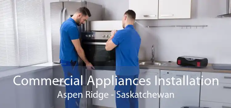 Commercial Appliances Installation Aspen Ridge - Saskatchewan