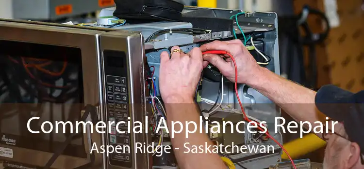 Commercial Appliances Repair Aspen Ridge - Saskatchewan