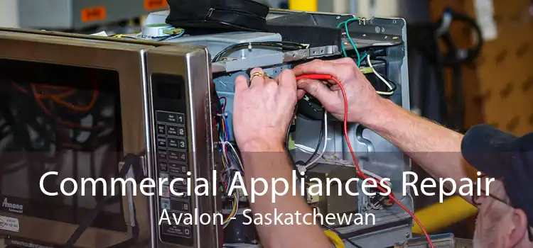 Commercial Appliances Repair Avalon - Saskatchewan