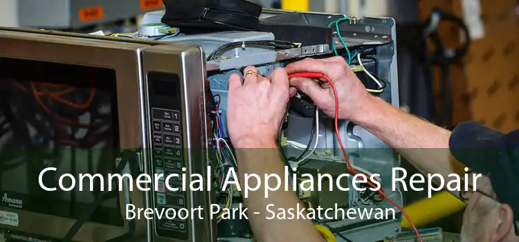 Commercial Appliances Repair Brevoort Park - Saskatchewan