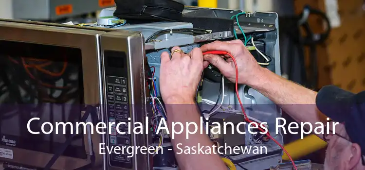 Commercial Appliances Repair Evergreen - Saskatchewan