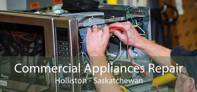 Commercial Appliances Repair Holliston - Saskatchewan