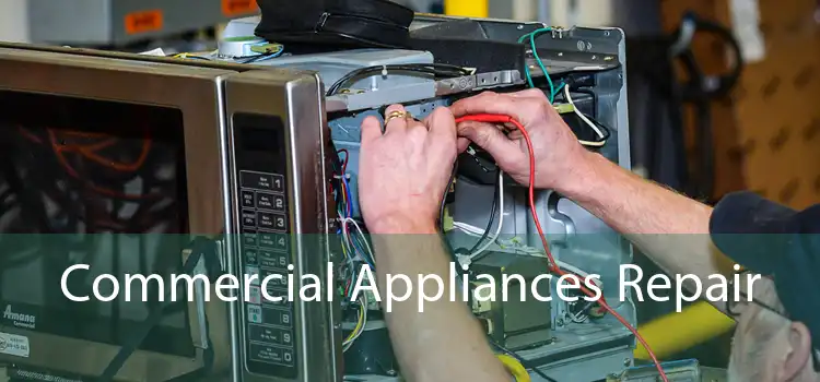 Commercial Appliances Repair 