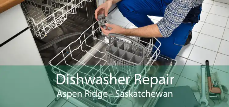 Dishwasher Repair Aspen Ridge - Saskatchewan