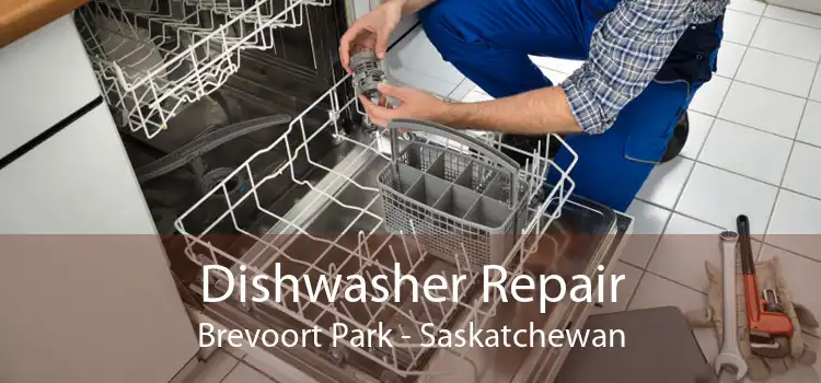 Dishwasher Repair Brevoort Park - Saskatchewan