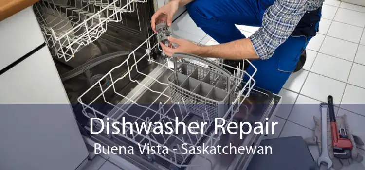 Dishwasher Repair Buena Vista - Saskatchewan