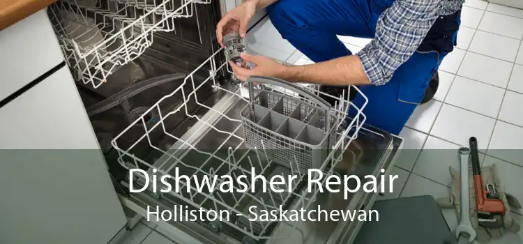 Dishwasher Repair Holliston - Saskatchewan