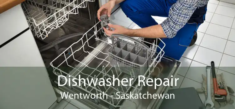 Dishwasher Repair Wentworth - Saskatchewan