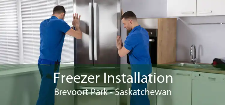 Freezer Installation Brevoort Park - Saskatchewan