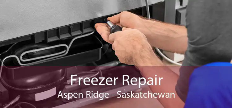 Freezer Repair Aspen Ridge - Saskatchewan