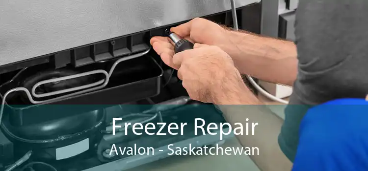 Freezer Repair Avalon - Saskatchewan