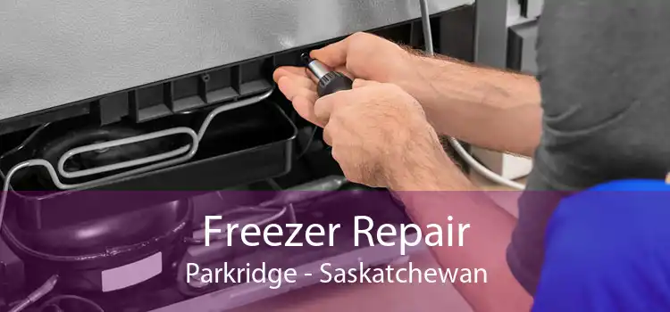 Freezer Repair Parkridge - Saskatchewan