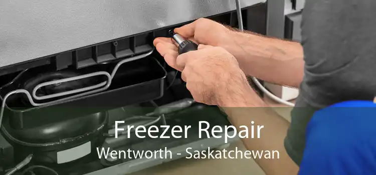 Freezer Repair Wentworth - Saskatchewan