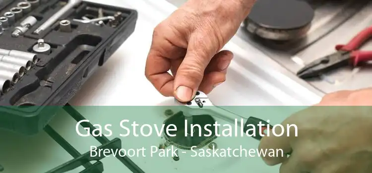 Gas Stove Installation Brevoort Park - Saskatchewan