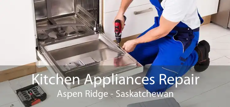 Kitchen Appliances Repair Aspen Ridge - Saskatchewan