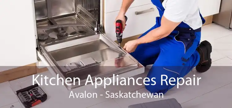 Kitchen Appliances Repair Avalon - Saskatchewan