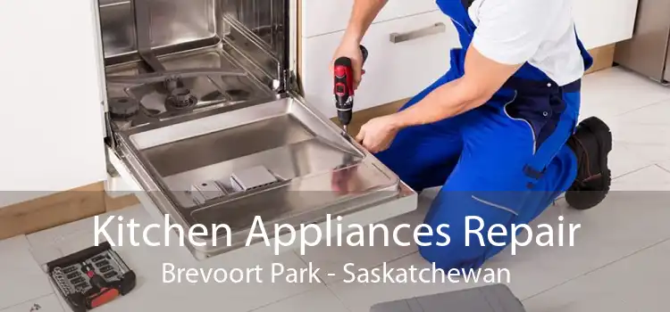 Kitchen Appliances Repair Brevoort Park - Saskatchewan