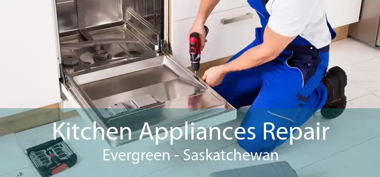 Kitchen Appliances Repair Evergreen - Saskatchewan