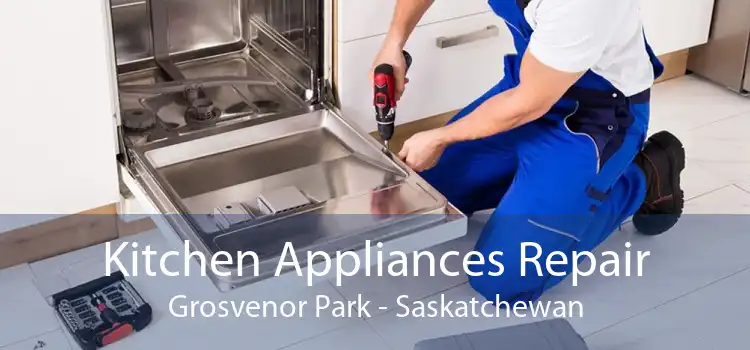 Kitchen Appliances Repair Grosvenor Park - Saskatchewan