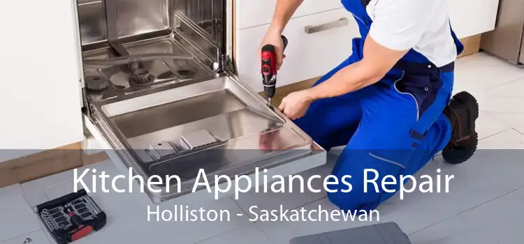 Kitchen Appliances Repair Holliston - Saskatchewan