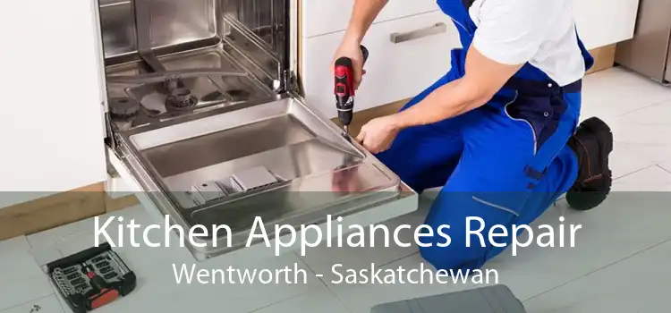 Kitchen Appliances Repair Wentworth - Saskatchewan