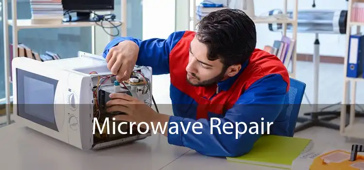 Microwave Repair 