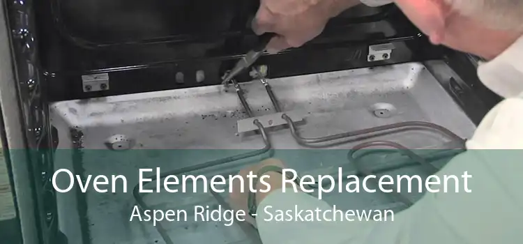 Oven Elements Replacement Aspen Ridge - Saskatchewan