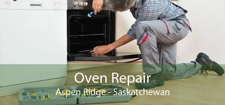 Oven Repair Aspen Ridge - Saskatchewan