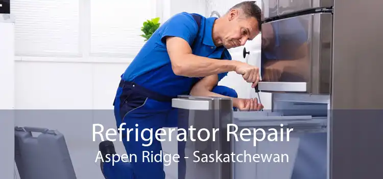 Refrigerator Repair Aspen Ridge - Saskatchewan