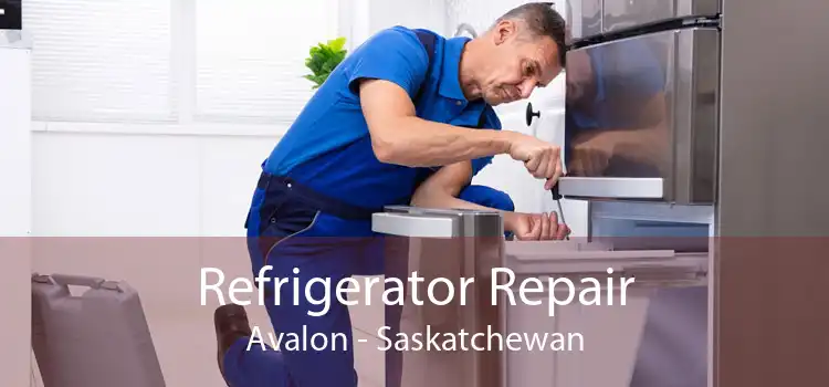 Refrigerator Repair Avalon - Saskatchewan