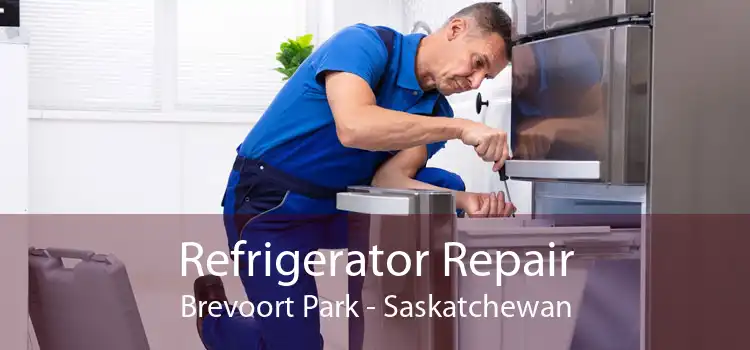 Refrigerator Repair Brevoort Park - Saskatchewan