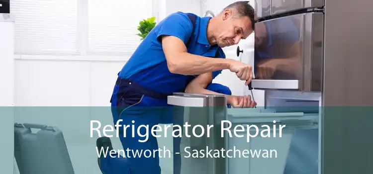 Refrigerator Repair Wentworth - Saskatchewan