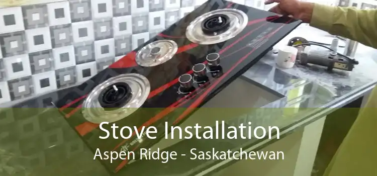 Stove Installation Aspen Ridge - Saskatchewan