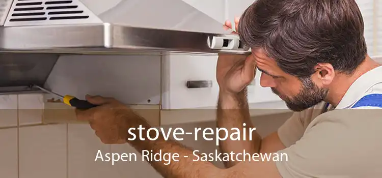 stove-repair Aspen Ridge - Saskatchewan