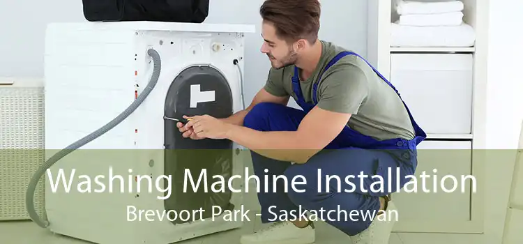 Washing Machine Installation Brevoort Park - Saskatchewan