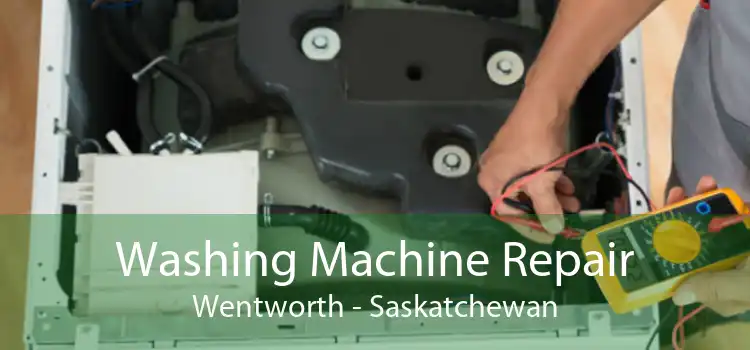 Washing Machine Repair Wentworth - Saskatchewan